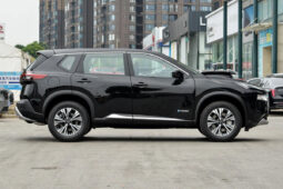 
										Nissan X-Trail E-power Comfort заполнен									