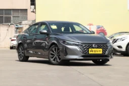 
										Nissan Sylphy E-power Max заполнен									
