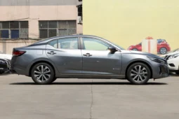 
										Nissan Sylphy E-power Max заполнен									