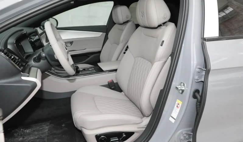 
								BYD Han DM-i заполнен									