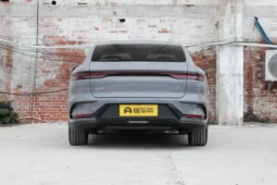 
										BYD Han DM-i заполнен									